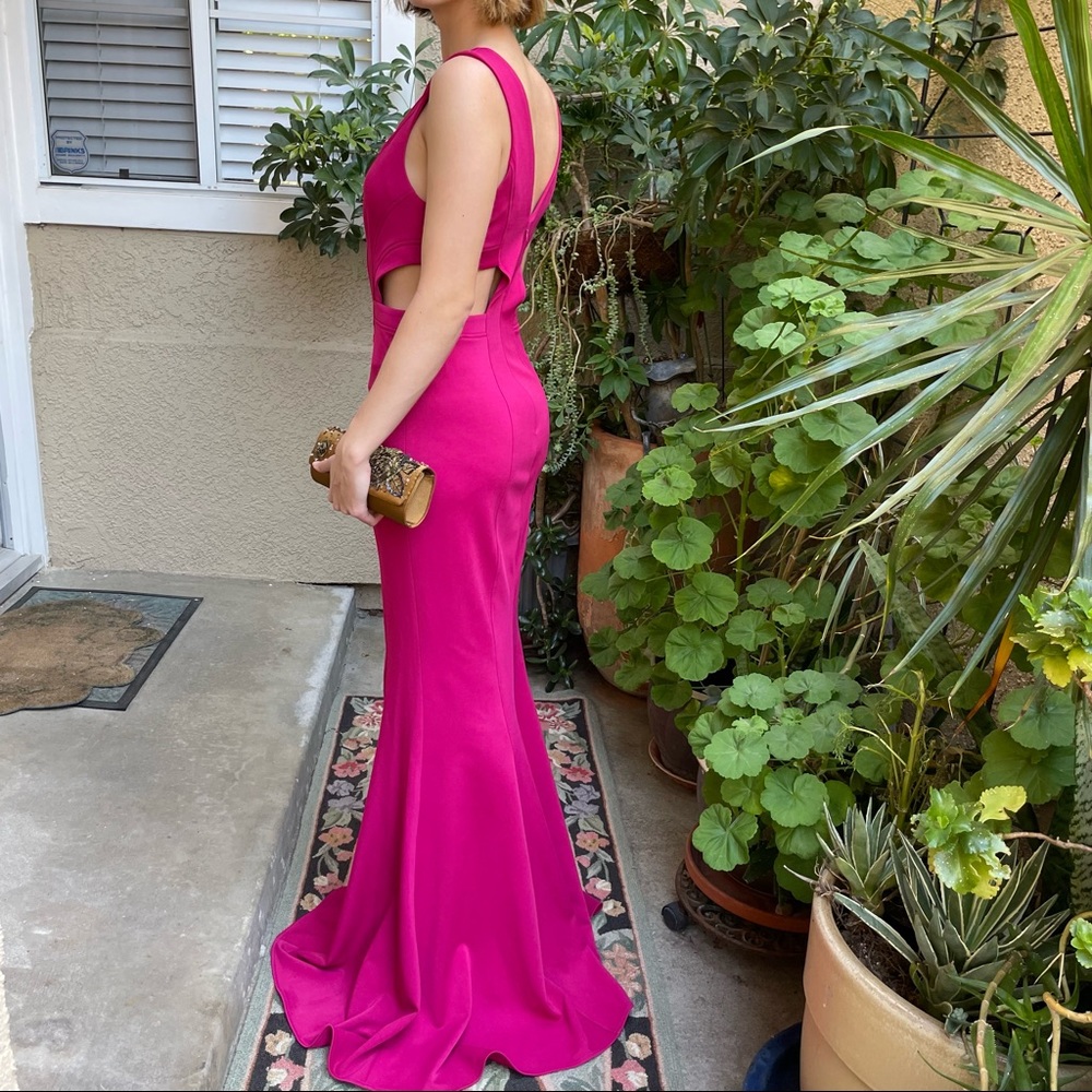 Berry ZAC maxi dress